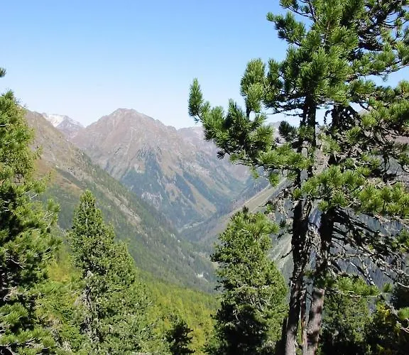 Longa Alpesi faház *